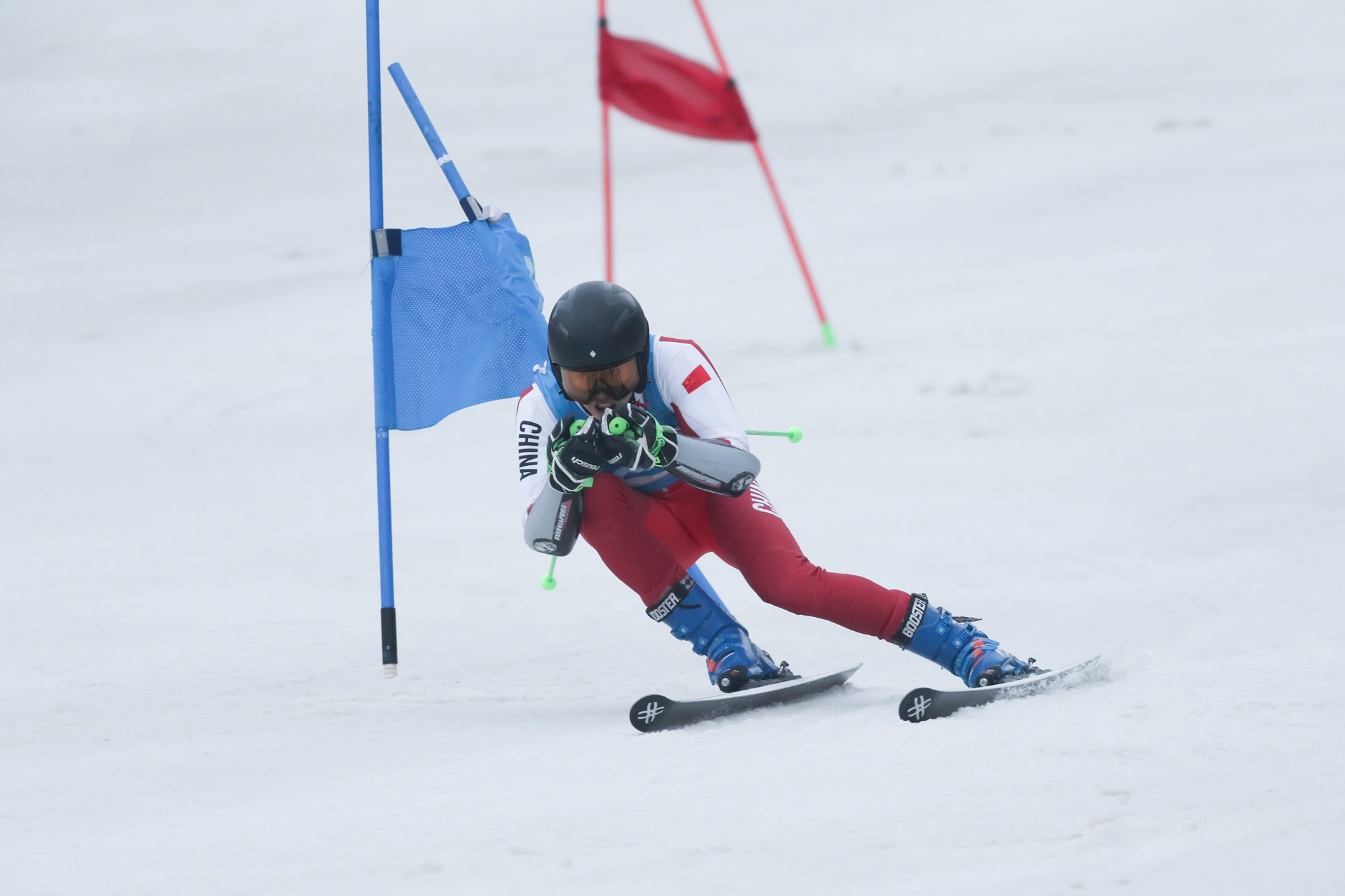 包含黑龙江队主场战胜山西队,球员状态火热的词条 包含黑龙江队主场战胜山西队,球员状态火热的词条